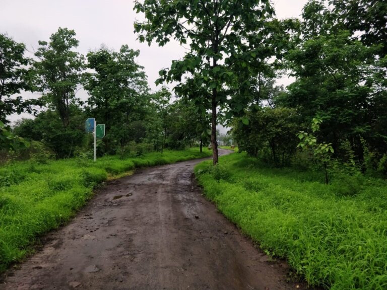 Birds, Backwaters & Biodiversity - Ambazari Biodiversity Park - The ...