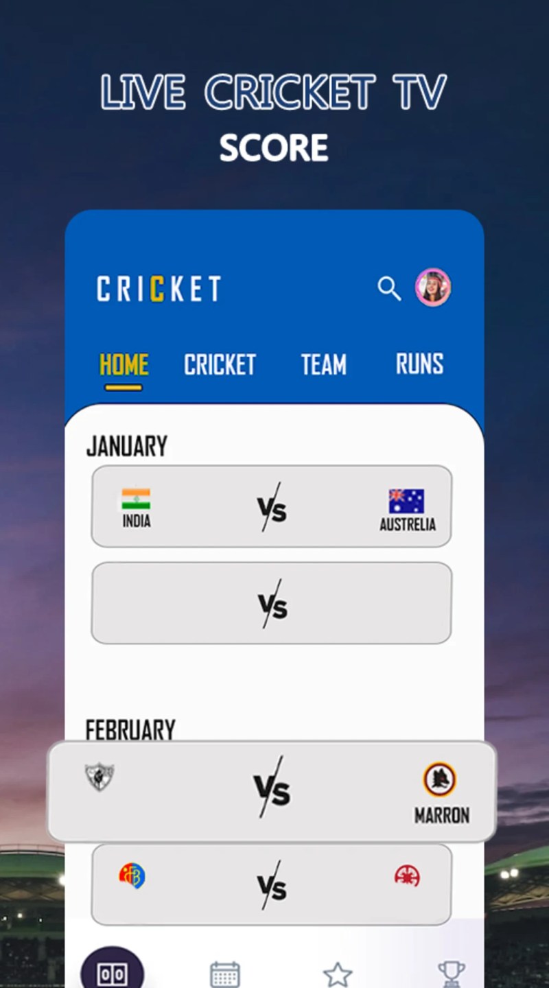 You Will Get A Ready Cricket Live Score App Website